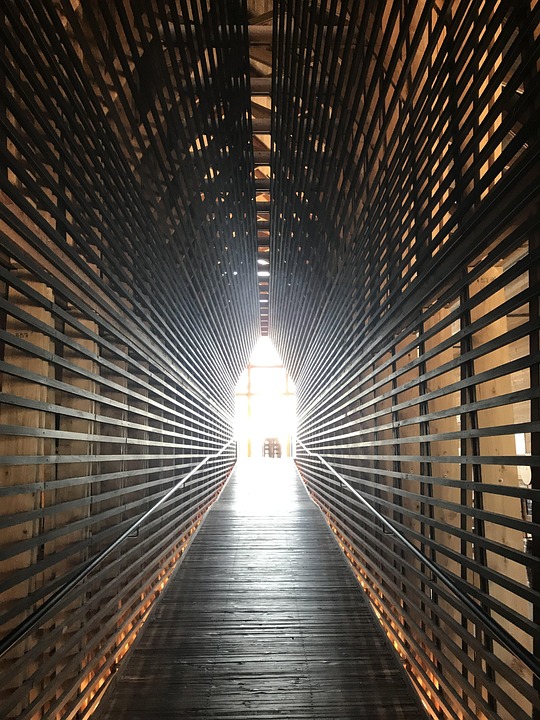 Buffalo Trace Bourbons: A Journey Through America's Finest Spirits